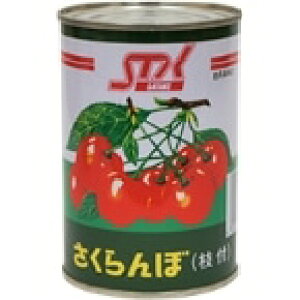 y퉷zڎ}t(M) 4 (Xg[ʋl/_Yʋl) Ɩp