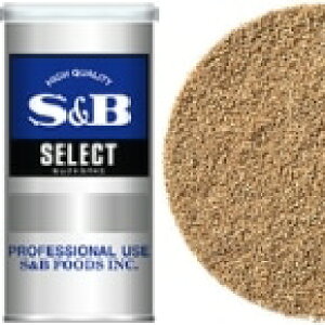 y퉷zicO pE_[(S) 100G (GXr[Hi/XpCX) Ɩp