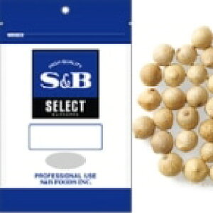 y퉷zzCgybp[ z[ 100G (GXr[Hi/RV[) Ɩp