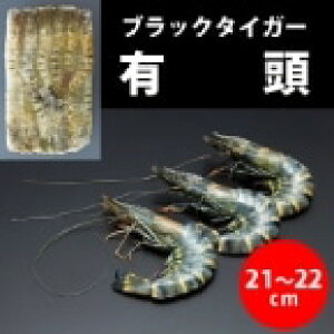 yⓀzLubN^CK[ 20 1.3KG (/) Ɩp