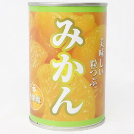 【常温】みかん 4号缶 (ユアサフナショク/農産缶詰) 業務用