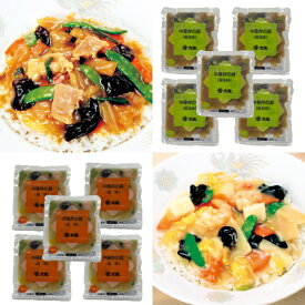 【冷凍】中華丼の具2種（塩5・醤油5）10パックセット　業務用