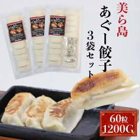 【冷凍】沖縄美ら島あぐー餃子 60個 お買い得3つセット （アグー豚/アグー餃子）
