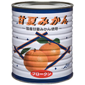 【常温】甘夏みかんブロークン 1号缶 (ストー缶詰/農産缶詰) 業務用