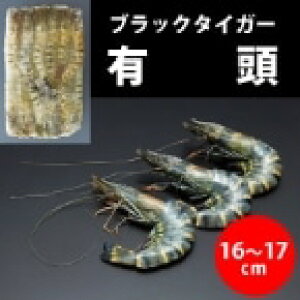 yⓀzLubN^CK[ 45 1.3KG (/) Ɩp