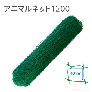 ^CK[ hblbg Aj}lbg1200 yTAN-125040z 120cm×50m 40~ڍ dC d dC lbg Qb hb h ΍ bQ ACO} nNrV  VJ T _ hb p