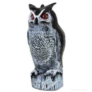 ^CK[ VGj~ ӂ낤yTTN-F2zQ ΍ 悯 JX ng XY Q h ΍ ObY ǂ }lL fRC ҋח VG  _ h pi ʎ ƒ؉ Њd c ͑