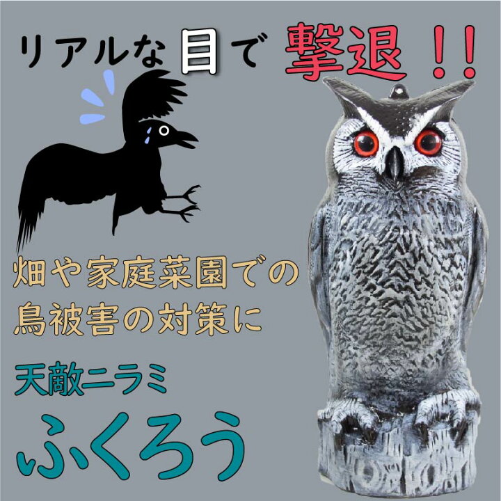 楽天市場】タイガー 天敵ニラミ ふくろう【TTN-F2】鳥害 対策 鳥よけ 