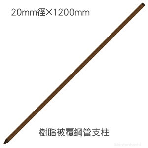 y50{z^CK[ 핢|ǎx K2012yTBS-PK20120z BORDER SHOCK {[_[VbN dC d |[ x CmVV ΍ bQ 쏜 O ACO} ^kL nNrV e C^` _ 