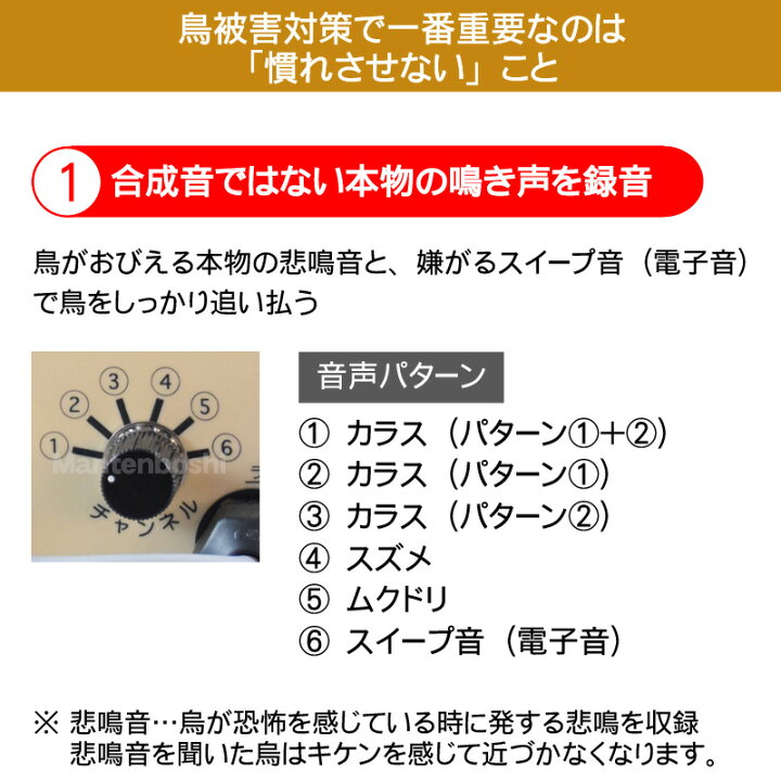 楽天市場 送料無料 天敵ニラミ トリサッタ Ttn T4 タイガー 鳥追い 鳥よけ 被害 カラス 撃退 グッズ 音 声 鳥害 対策 防鳥 被害 スズメ 鷹 タカ 猛禽類 ふくろう 鳴き声 威嚇 農業 防鳥用品 鳥獣害対策 満天星 楽天市場店 楽天市場 送料無料 天敵ニラミ トリサッタ Ttn T4 タイガー 鳥追い 鳥よけ 被害 カラス 撃退 グッズ 音 声 鳥害 対策 防鳥 被害 スズメ 鷹 タカ 猛禽類 ふくろう 鳴き声 威嚇 農業 防鳥用品 鳥獣害対策 満天星 楽天市場店
