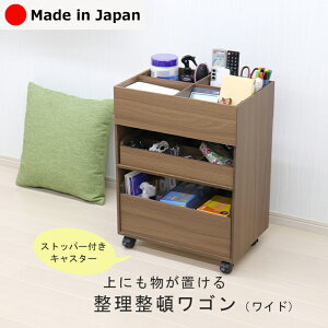 ړS LX^[t ɂu鐮ڃS Ch 45×s30×60cm [S Th~ R rO[ [ 39206 uꏊ Ki[ U炩