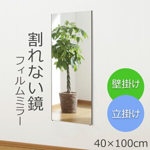 Ȃ pV[g 40×100cm RT-40100 Sg 40cm Sg  ~[ X^h~[ Sg~[ Ǌ| | tFNX REFEX Vv 傫 Ch tB~[  [J[