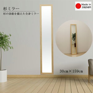  EH[~[ 30cm 159cm [J[i CeA p ~[ Ǌ|~[ Ċ|~[ VR؃i` 17308