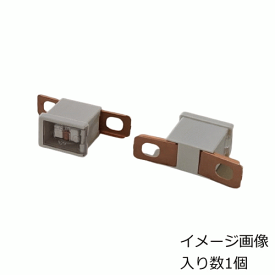 太平洋精工・スローブローヒューズ・CTタイプ・SBF-CT_120A/3323ホワイト120AMP