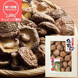 ()ybsOzBY؂ǂ񂱒ő SPD-50 ő  VC^P l j oYj j o Cj TԂ Ԃ j oYj ԗi 