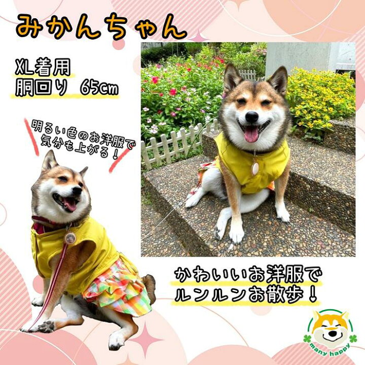 楽天市場】クーポン配布中 【 中型犬用 】 犬 服 可愛い ワンピース 袖 