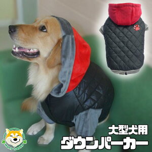 y ^p z   H~  p[J[ t[X h _E AE^[ g ʂʂ R[g bh   ybgEFA ^   rbO VFp[h uh[ 