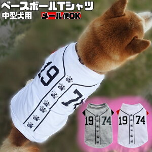 中型犬 Tシャツ ペット服の人気商品 通販 価格比較 価格 Com