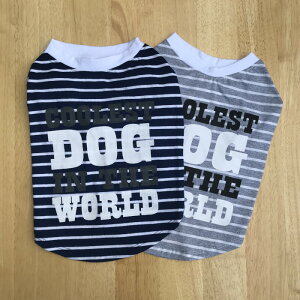 N[|zz y ^p z   ^N TVc   j̎q ̎q ^ {[_[ F O[  Lk pI hbOEFA hbNEFA FP-T280 283  pO t