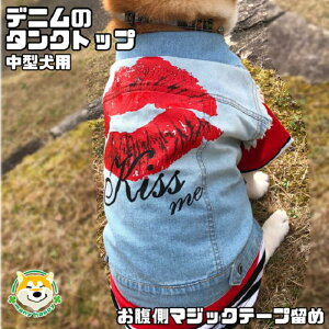 N[|zz y ^p z    AE^[  ^Ngbv fj xXg Ȃ }WbNe[v LbX hbOEFA  ybgEFA ۂ 