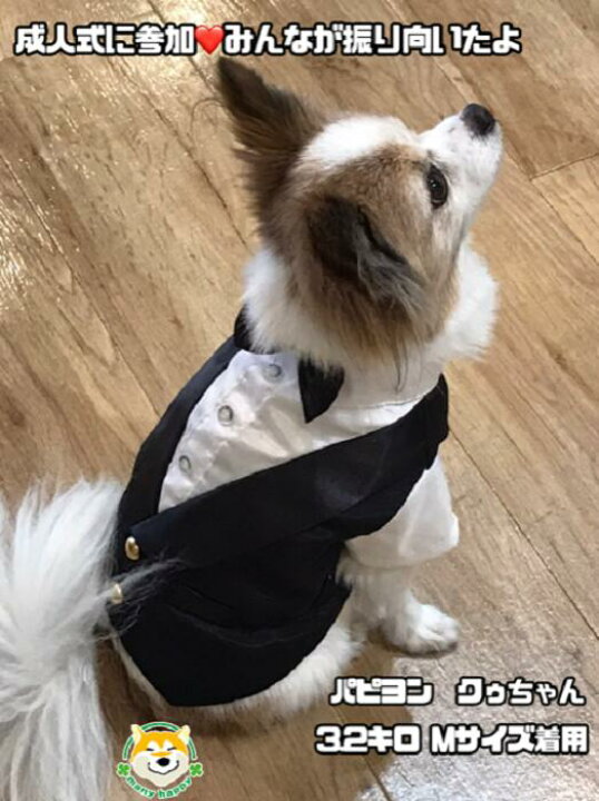 楽天市場】【 小型犬用 】犬 服 フォーマル スーツ タキシード 結婚式 ウエディング 蝶ネクタイ 服 ジャケット ペット服 前撮り リングドッグ プレゼント 金 洋装 お祝い お誕生日 記念日 記念写真 ゴールド 高級感 マジックテープ留め Dolly DST001 犬服 : 柴犬コウタの ... 楽天市場】【 小型犬用 】犬 服 フォーマル スーツ タキシード 結婚式 ウエディング 蝶ネクタイ 服 ジャケット ペット服 前撮り リングドッグ プレゼント 金 洋装 お祝い お誕生日 記念日 記念写真 ゴールド 高級感 マジックテープ留め Dolly DST001 犬服 : 柴犬コウタの ...
