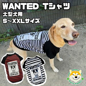y ^p z   TVc ^      {[_[ v`v rbO ybgEFA _VA uh[ S[fgo[ VFp[h R[ nXL[ {NT[ BD60
