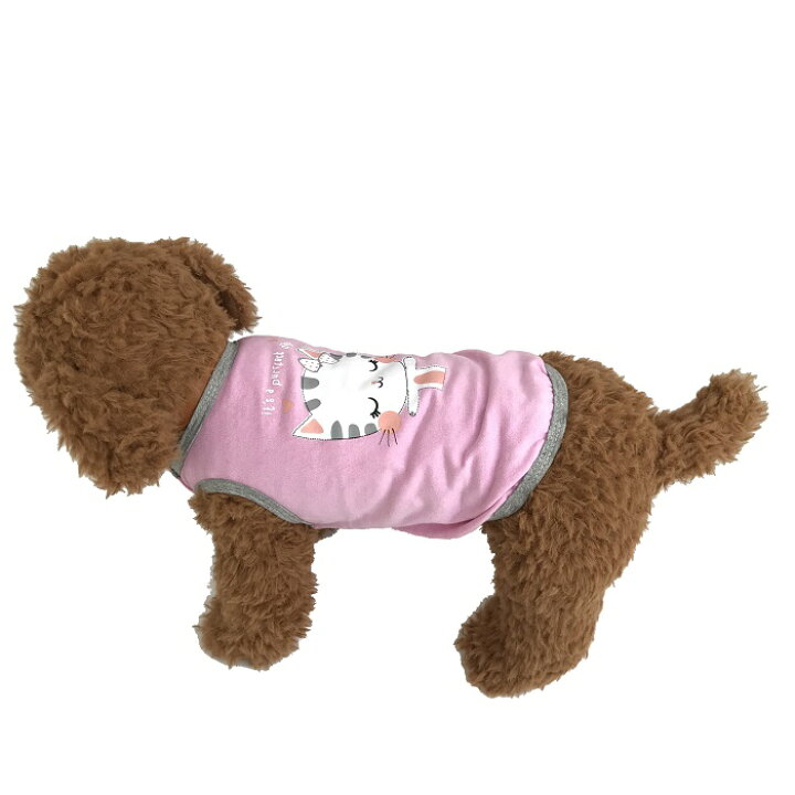 楽天市場】クーポン配布中 【 小型犬用 】 限定1つ 小さいサイズ 犬 