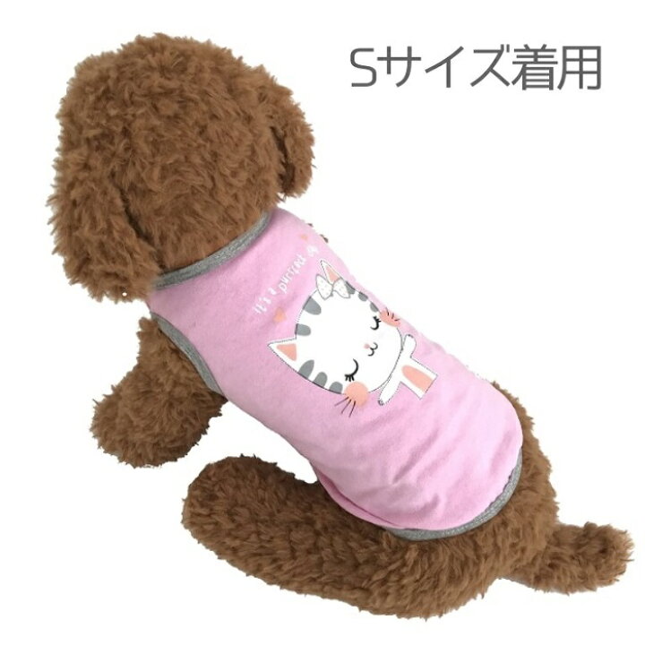 楽天市場】クーポン配布中 【 小型犬用 】 限定1つ 小さいサイズ 犬 