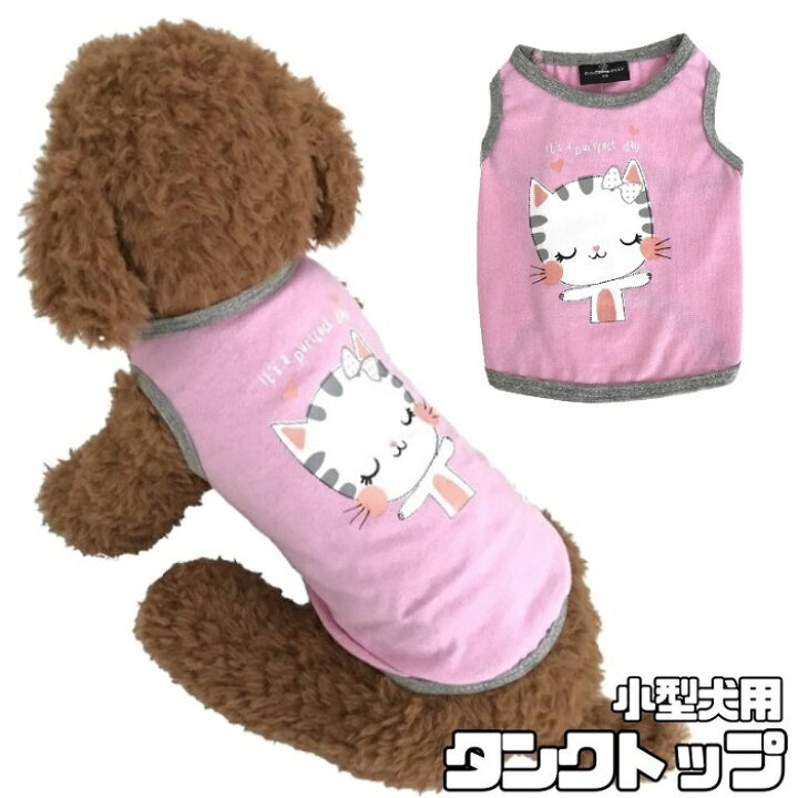 楽天市場】クーポン配布中 【 小型犬用 】 限定1つ 小さいサイズ 犬 