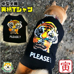 N[|zz y ^p z  ^NTVc hbOEFA Lv Oo o    g Ƃ g    ubN ybgEFA jp Č pO t