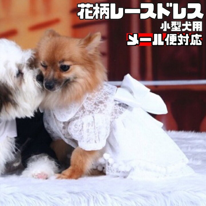 楽天市場 ｽｰﾊﾟｰsale ｸｰﾎﾟﾝ配布中 小型犬用 犬 服 ドレス 結婚式 ウェディングドレス ゴージャス 白 レース お祝い 記念日 前撮り 洋装 マジックテープ留め 美しい 可憐 ペットウェア チワワ ヨークシャテリア ポメラニアン トイプードル 花嫁 Doggydolly F006 犬服