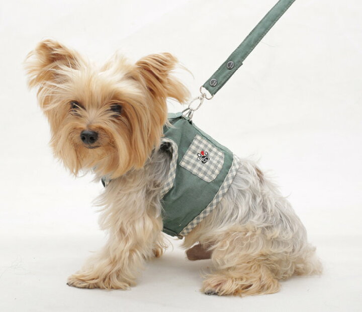 楽天市場 クーポン配布中 小型犬用 犬 ハーネス おしゃれ ペットグッズ 胴輪 モスグリーン チェック 小型 ペット リード付き 簡単 お腹開き D字リング マジックテープ留め 布製 Dcl146 チワワ ポメラニアン トイプードル ビーグル 犬服 柴犬コウタのハッピィショップ