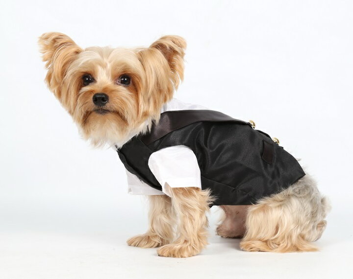 高品質の激安 犬 タキシード 結婚式 小型犬 ペット服 猫服 フォームスーツ ジャケット コート 披露宴 パーティー ドッグウェア ペット洋服 男の子 記念日 お祝い 春夏秋冬 Discoversvg Com
