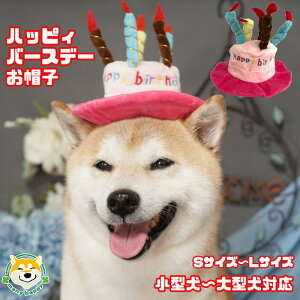 誕生日 ケーキ プレゼント ペットの通販 価格比較 価格 Com