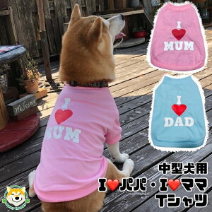 N[|zz y ^p z   TVc ̓ ̓ v[g ꂳ  }U[ pp}} pXeJ[   ACupp ACu}}  hbOEFA 