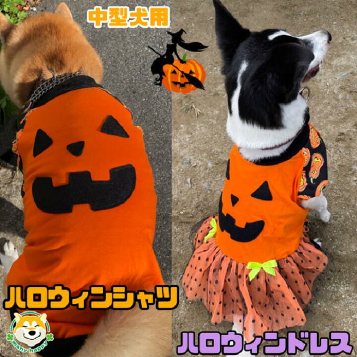 楽天市場 中型犬用 犬 服 秋 ハロウィン Tシャツ ドレス コスチューム 男の子 女の子 おもしろ かぼちゃ オリジナル パンプキン イベント インスタ パーティ プレゼント 伸縮性あり 5号 6号 Pa Mh 柴犬 フレンチブルドッグ コーギー パグ 犬服 柴犬コウタの
