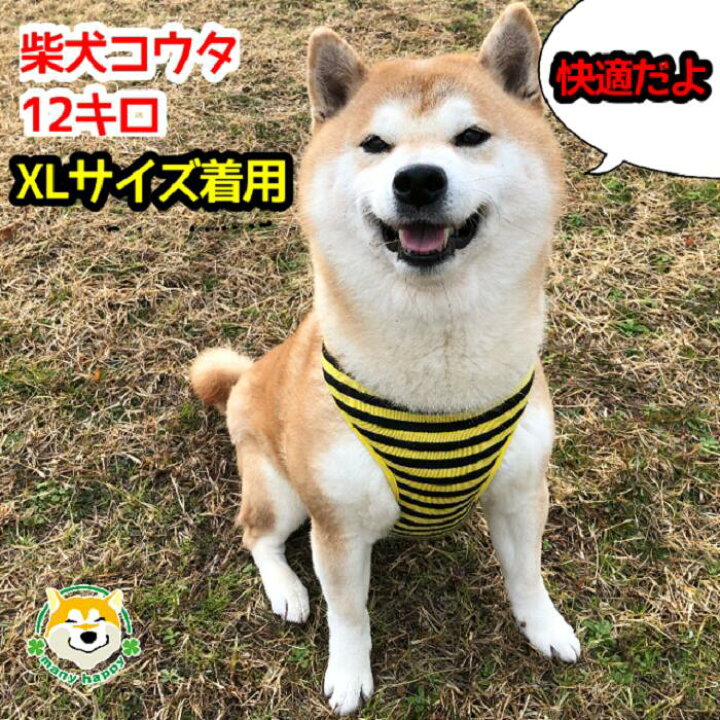 楽天市場 ハーネス 犬 服 中型犬 冬 おしゃれ 胴輪 簡単装着 可愛い おしゃれ 首を通してカチッと留めるだけ L Xlサイズ 赤 黄 バックル かぶせる チュール 柔らかい テントウムシ ハチ 柴犬 パグ フレンチブルドッグ コーギー ビーグル 犬服 柴犬コウタの