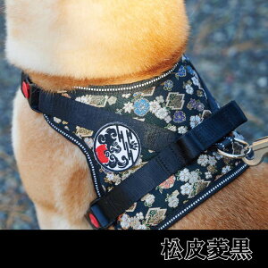 y ^p z n[lX Č a wɏ悹ăJ`bƗ߂邾 `KIRAMEKI`  ɂ Ɩ nht h~ j Oh~bN wD bV Ԕ˔X