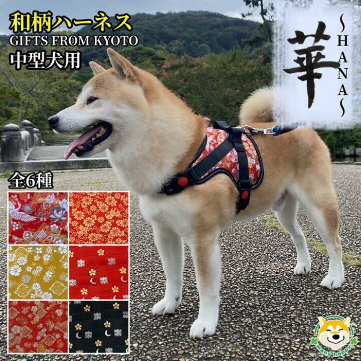 楽天市場 クーポン配布中 中型犬用 犬 ハーネス 和柄 華 Hana 背中に乗せてカチッと留めるだけ 胴輪 抜けくい 引っ張り防止 ハンドル付き お祝い プレゼント 長寿 西陣金襴織 プレゼント メッシュ 反射糸 ベルト長さ調節可能 金 柴犬 パグ フレンチブルドッグ