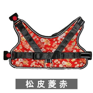 y ^p z  n[lX a ؁`HANA` wɏ悹ăJ`bƗ߂邾   h~ nht j v[g  wED v[g bV ˎ x