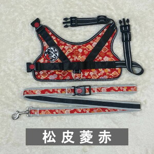 y ^p z  n[lX JtF[h Zbg a `KIRAMEKI` wɏ悹ăJ`bƗ߂邾  h~ nht j v[g  wED bV ˎ 