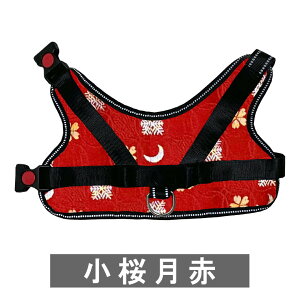 N[|zz y ^p z  n[lX a ؁`HANA` wɏ悹ăJ`bƗ߂邾   h~ nht j v[g  wED bV ˎ