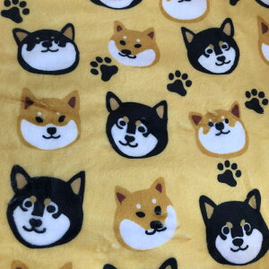 N[|zz Č uPbg }V}݂Ȃӂӂ퐶n ѕz G|  F sN n̓zCg Ԏ  