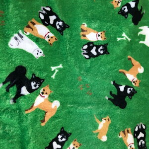 N[|zz Č uPbg }V}݂Ȃӂӂ퐶n ѕz G|  F sN n̓zCg Ԏ  