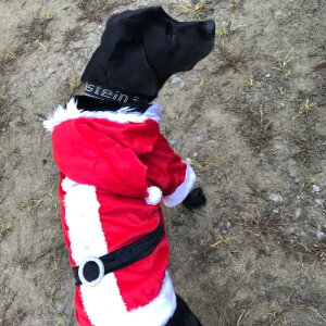 y ^p z   NX}X ~ T^N[X ^p t[X j̎q RX`[ RXv v[g }WbNe[v LL ͗nt rbO VFp[h go[