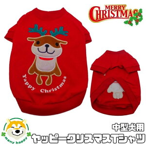 N[|zz y ^p z   NX}X ^NTVc T^N[X RX`[ ^ RXv j̎q ̎q giJC  7 8 9 v[g   Lk