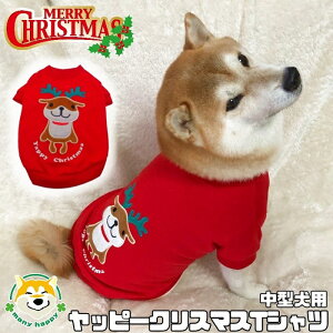  y ^p z  NX}X ^NTVc j̎q ̎q T^N[X RX`[ RXv giJCby bs[  TTX-2 5 6 v[g   L