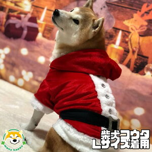 N[|zz y ^p z   NX}X T^N[X t[X j̎q RX`[ RXv 炫 CXg[O S[WX }WbNe[v T^ FP-ST