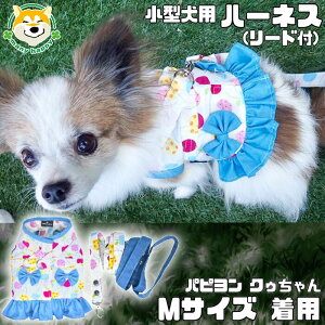 犬 首輪 ハーネス リード付きの通販 価格比較 価格 Com