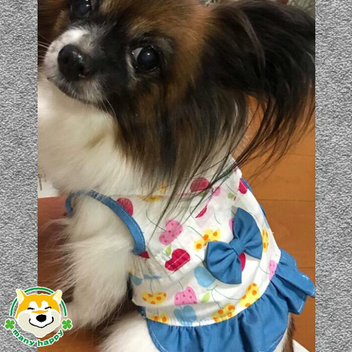 楽天市場 小型犬用 犬 服 ハーネス 可愛い ペット 胴輪 リード付き 胸当て さくらんぼ リボン カラフル 背中開き ふりふり フリル おしゃれ 簡単 マジックテープ 布製 Dcl141 チワワ ヨークシャーテリア ポメラニアン トイプードル 犬服 柴犬コウタのハッピィ